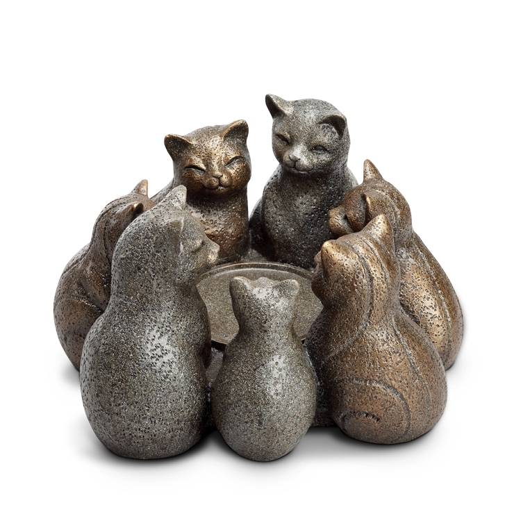 Kitten sitting warm heart warm candle