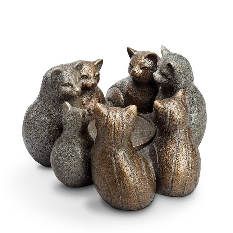 Kitten sitting warm heart warm candle