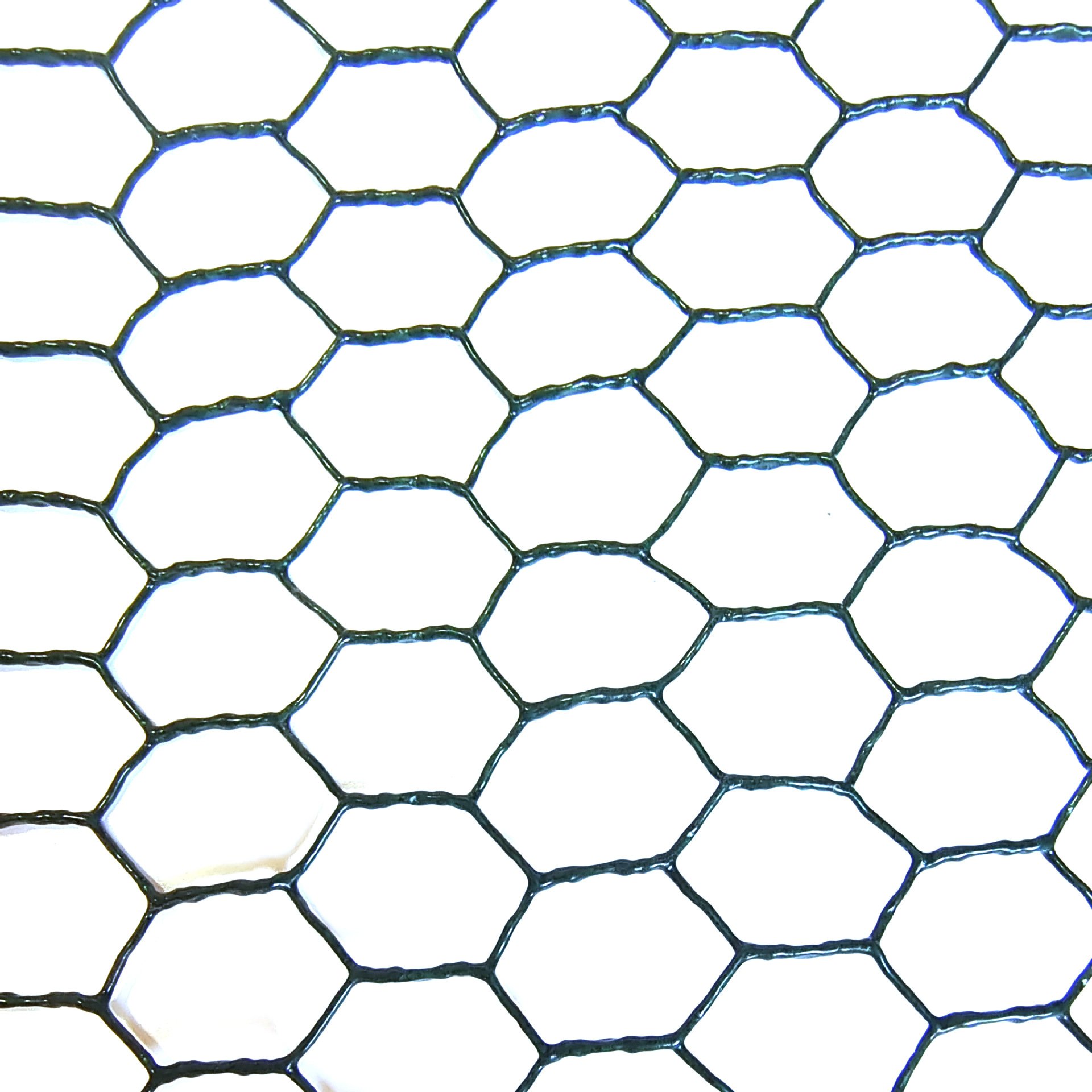 China flower green coating wire arrangement fence vegetable garden hexagonal Chicken wire