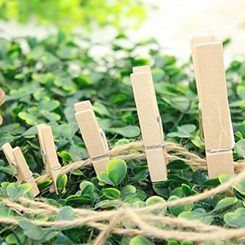 Tailai Eco-friendly natural wood laundry hanging Custom Wood Clothes Pins Handmade Wooden Clothes Pegs Clip