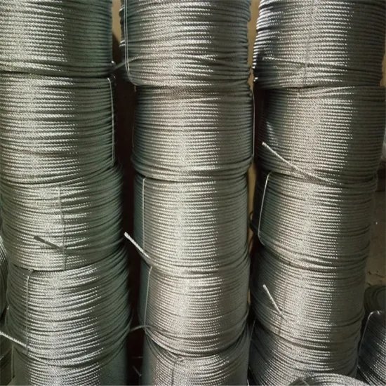 304 Stainless 6X24+7FC/6X12+7FC Steel Wire Rope for Fishing & Binding