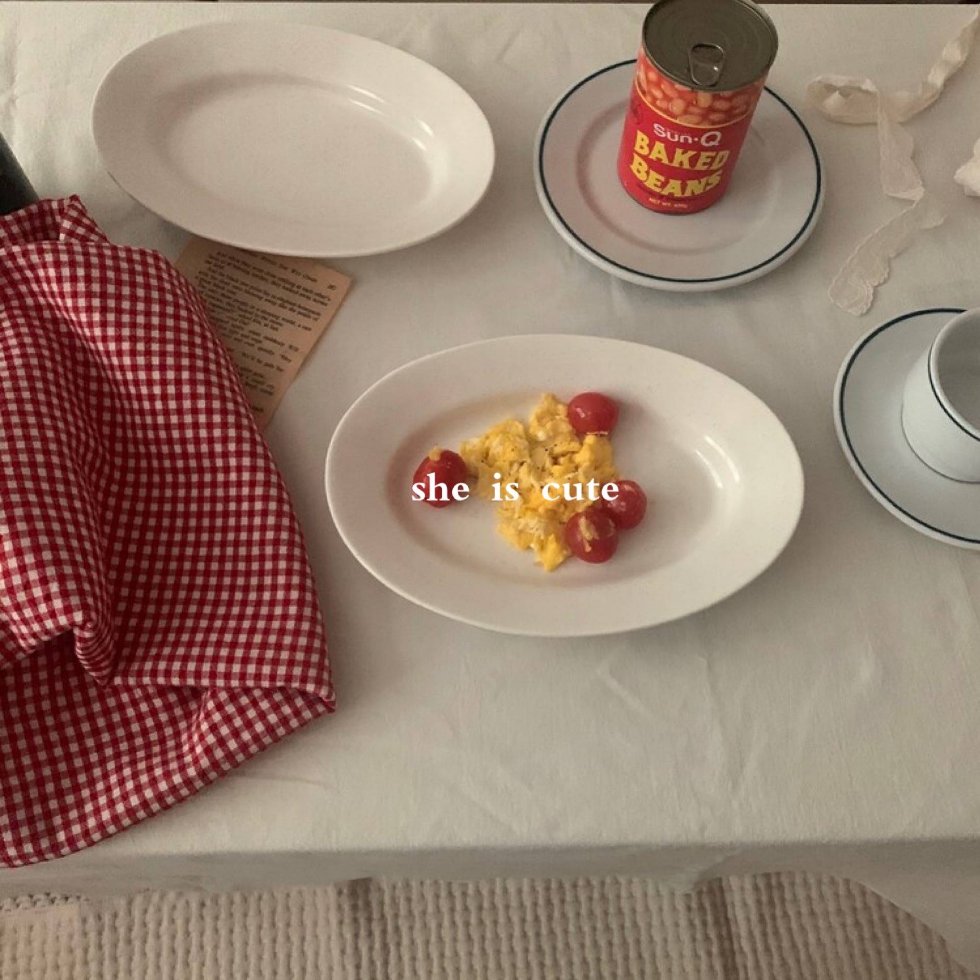 Tablecloth solid color Korean ins simplicity can be customized