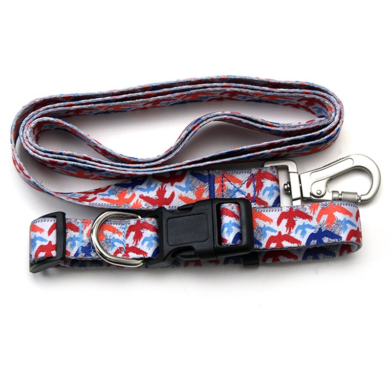 Wholesale High Quality Pet Collar Customized Supply Pets Toys And Accessory Leash