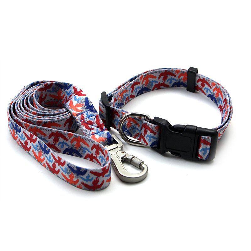 Wholesale High Quality Pet Collar Customized Supply Pets Toys And Accessory Leash