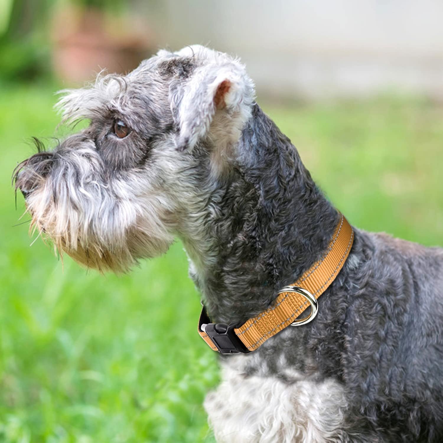Suitable for Different Sizes Dogs Highly Reflective Durable Fast Dry Quick Release Buckle Pet Dog Collar and Leashes