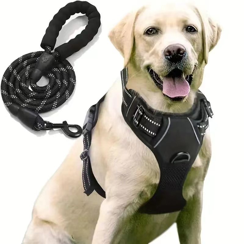 New Design Professional Reflective Dog Chest Strap Durable Nylon Pet Chest Harness Safe Night Walks Quick Release Leash CN;SIC