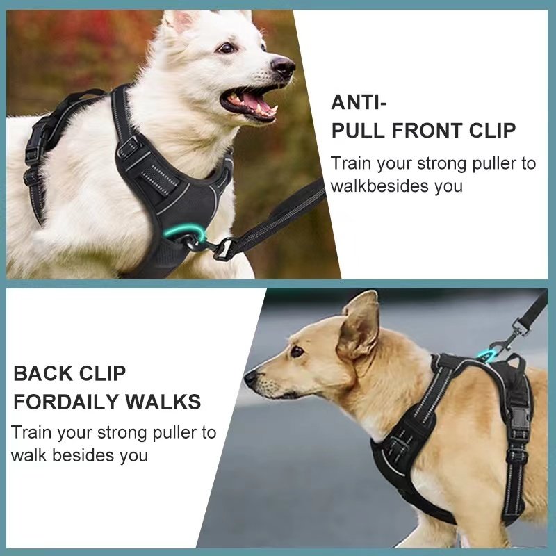 New Design Professional Reflective Dog Chest Strap Durable Nylon Pet Chest Harness Safe Night Walks Quick Release Leash CN;SIC