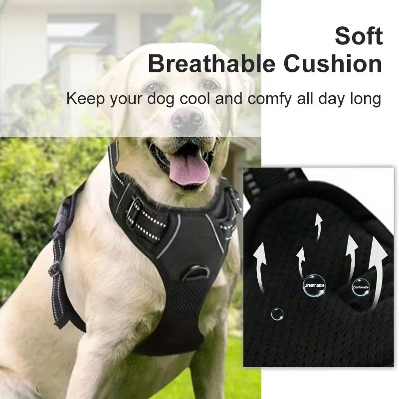 New Design Professional Reflective Dog Chest Strap Durable Nylon Pet Chest Harness Safe Night Walks Quick Release Leash CN;SIC