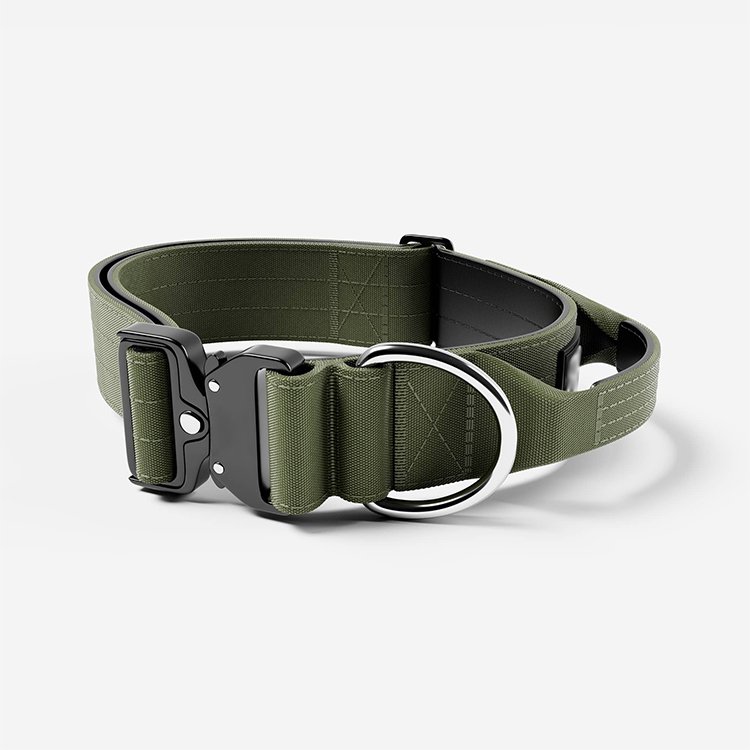 Custom Padded Neoprene Nylon Heavy Duty Combat Laser Engraving Metal Buckle Logo Tactical Dog Collar