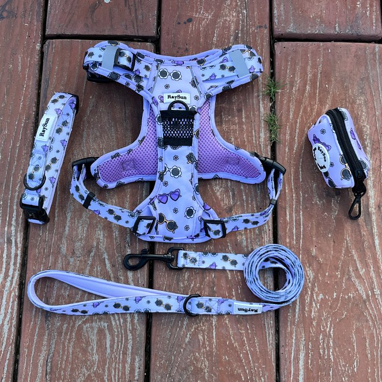 No Pull Pet Harness Lead Reversible Custom Dog Harness Set Pet Poop bag holder Design Adjustable hemp dog leash other pet collar