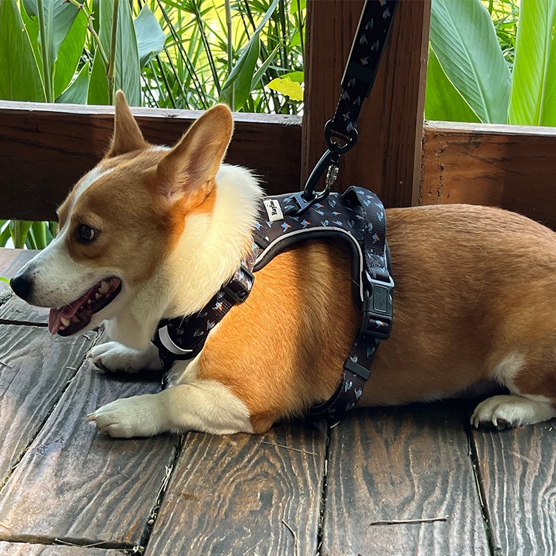 No Pull Pet Harness Lead Reversible Custom Dog Harness Set Pet Poop bag holder Design Adjustable hemp dog leash other pet collar