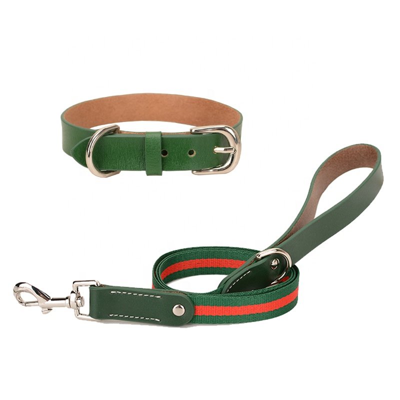 Dog Collars And Leashes Custom