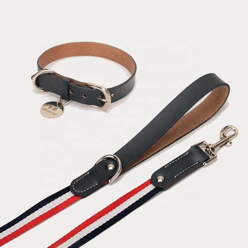 Dog Collars And Leashes Custom