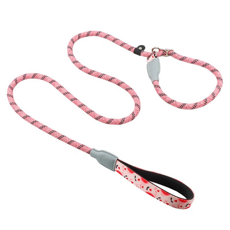 Hot Selling Durable Moutain Climbing Strong Pet Dog Running P Rope Dog Lead No Pull Training Dog Leash