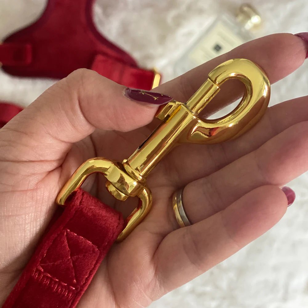 Christmas Personalized Custom Logo Pet Collars Leashes Harnesses Adjustable Velvet custom Dog Harness Set