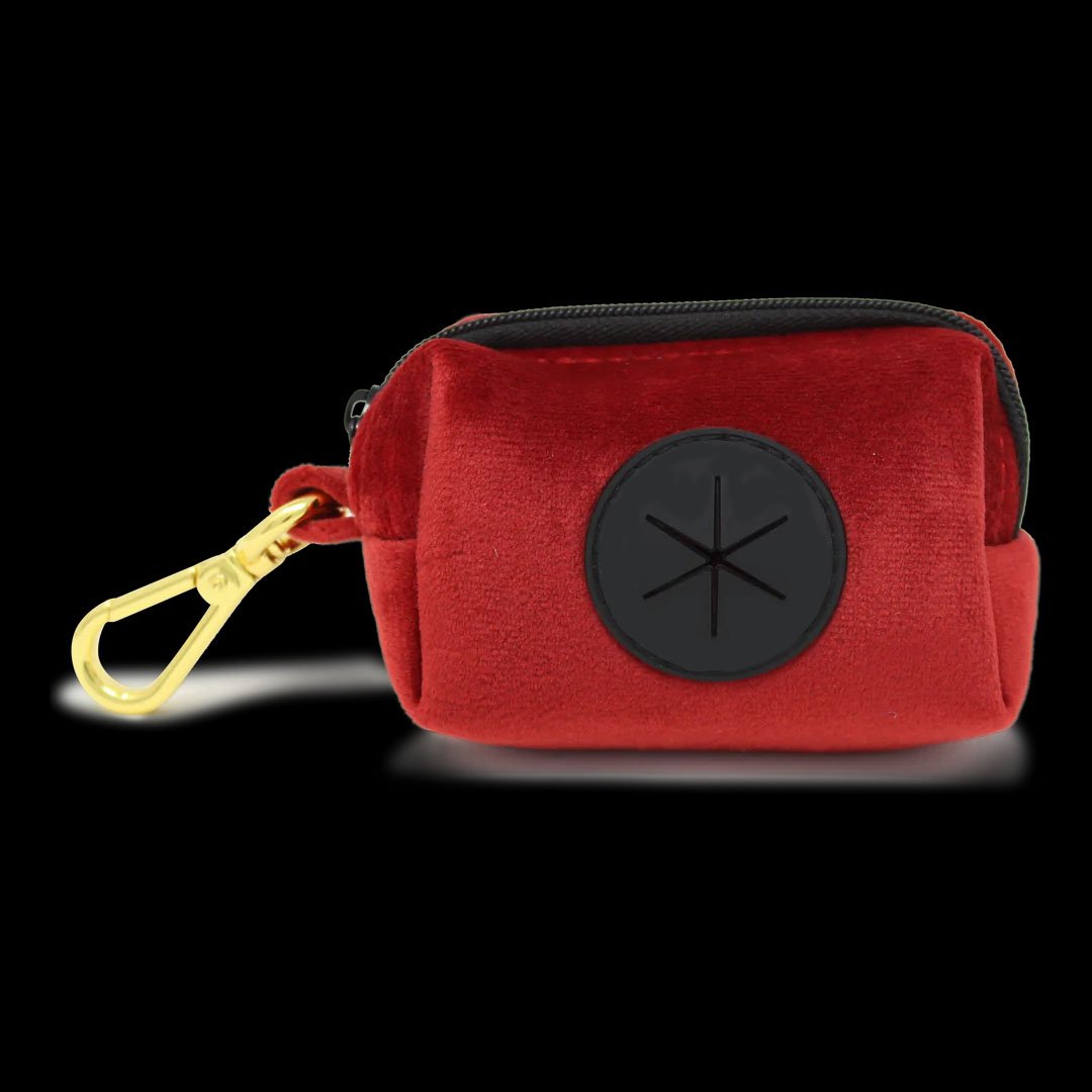 Christmas Personalized Custom Logo Pet Collars Leashes Harnesses Adjustable Velvet custom Dog Harness Set