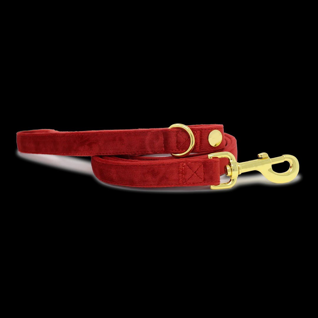 Christmas Personalized Custom Logo Pet Collars Leashes Harnesses Adjustable Velvet custom Dog Harness Set