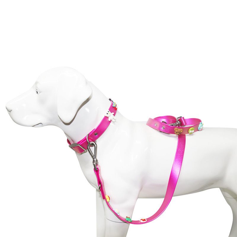 Personalized Adjustable Waterproof Silicone Multiple Style Clip Up Removable Rubber Charm For Dog Collar Leash