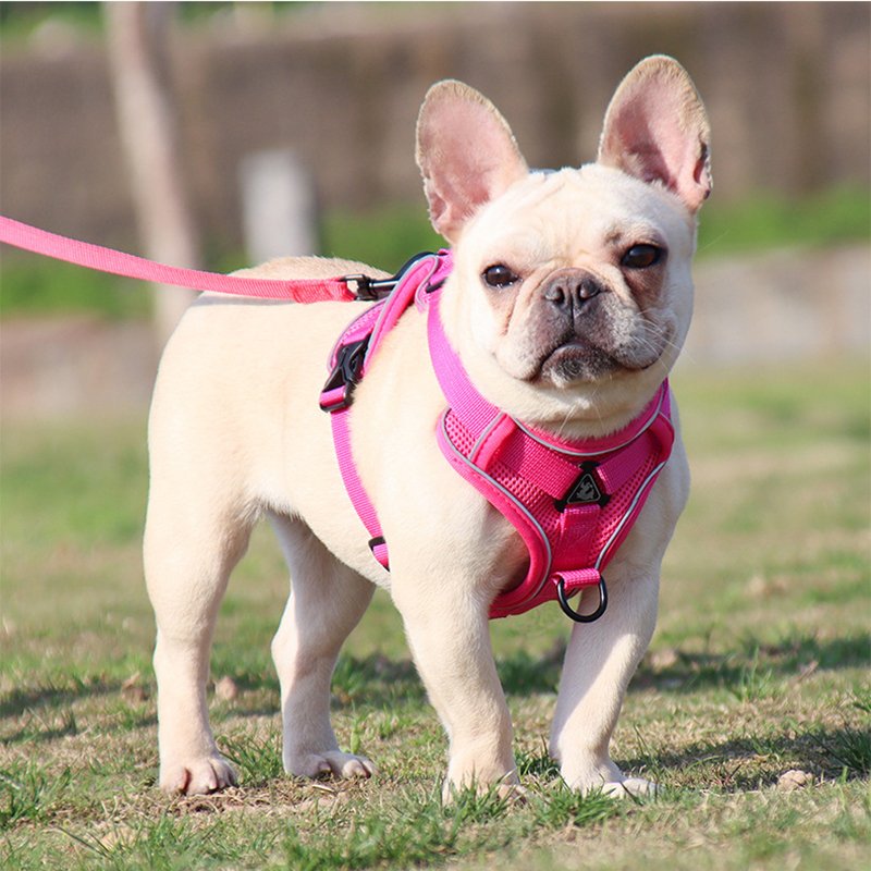 Wholesale Pet Supplies Soft Adjustable Reflective Polyester Mesh Durable Pet Dog Harness Set