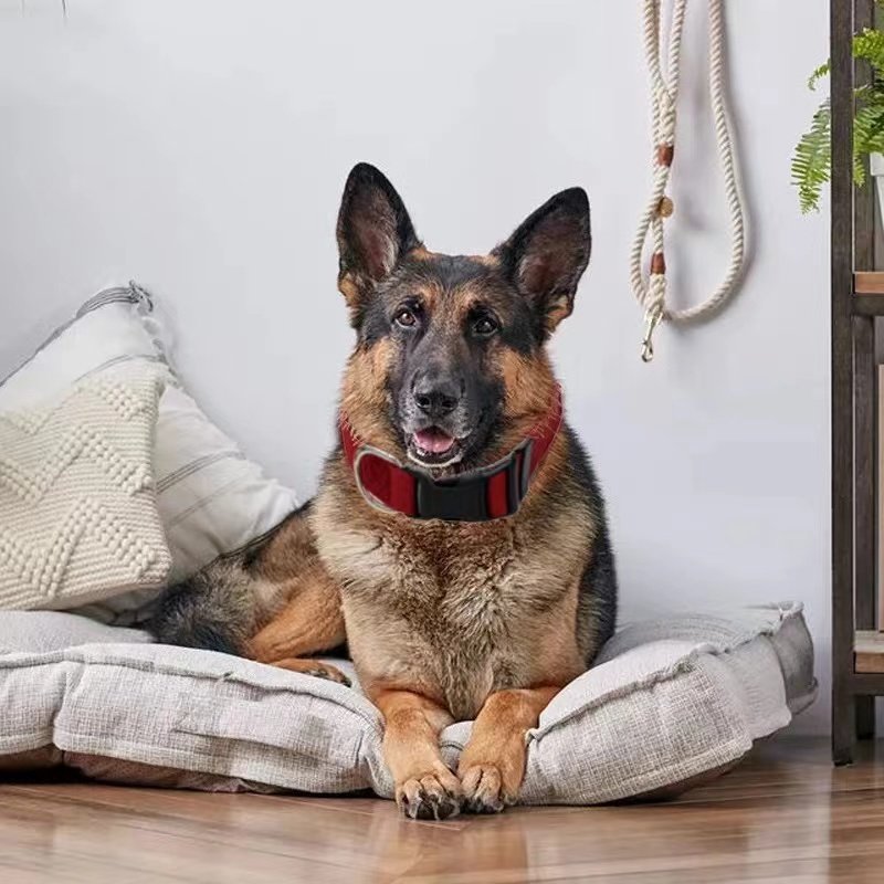 High Quality Factory Sale Adjustable Padded Dog Collar Comfortable Outdoor Activities in Waterproof Nylon Quick Release CN;SIC