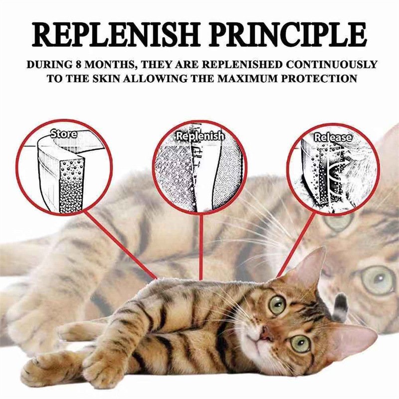 Pet Dog Collar Anti-Flea Tick Mosquito Durable High Quality Pet Dog Collar For Cats Custom Neck Collars