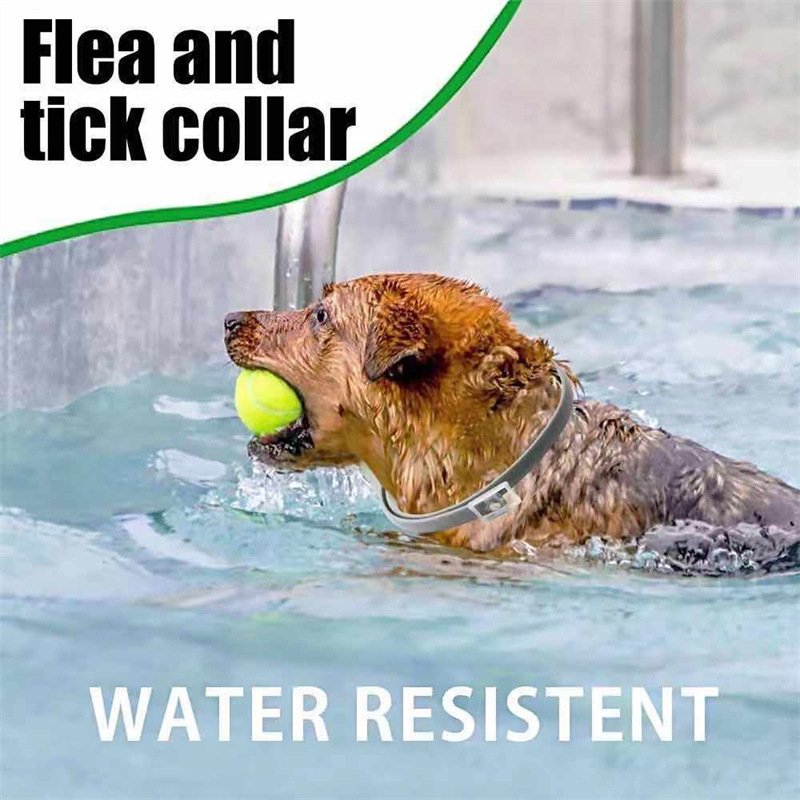 Pet Dog Collar Anti-Flea Tick Mosquito Durable High Quality Pet Dog Collar For Cats Custom Neck Collars