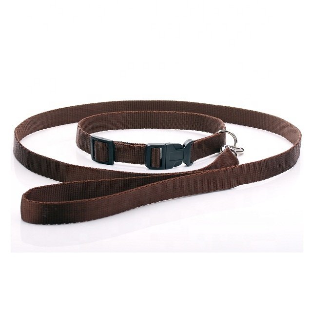 Pu Pet Collars