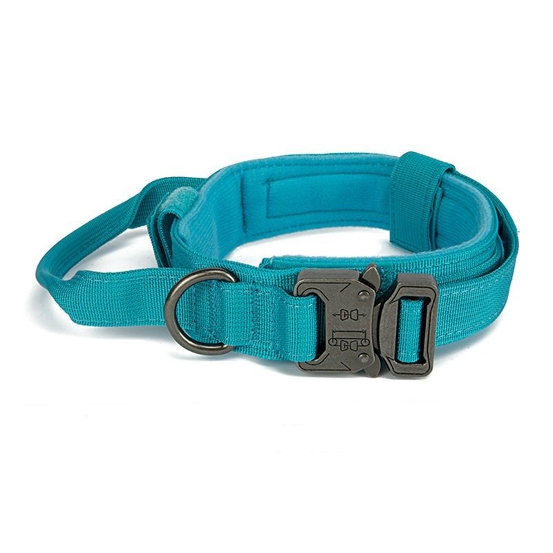 Wholesale Dog Training Collar Pet Collar for Dogs Adjustable Dog Collars