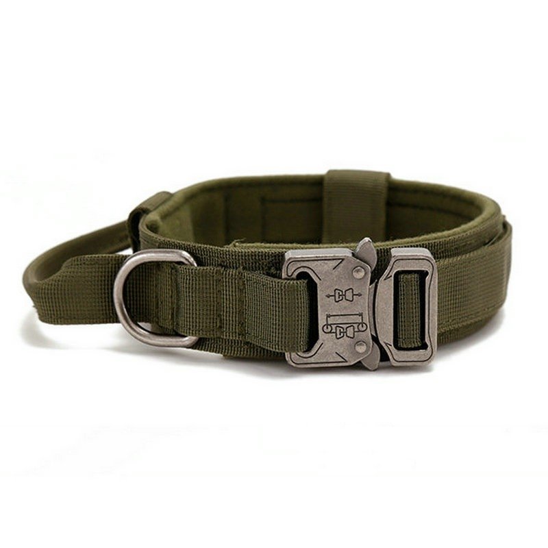 Wholesale Dog Training Collar Pet Collar for Dogs Adjustable Dog Collars