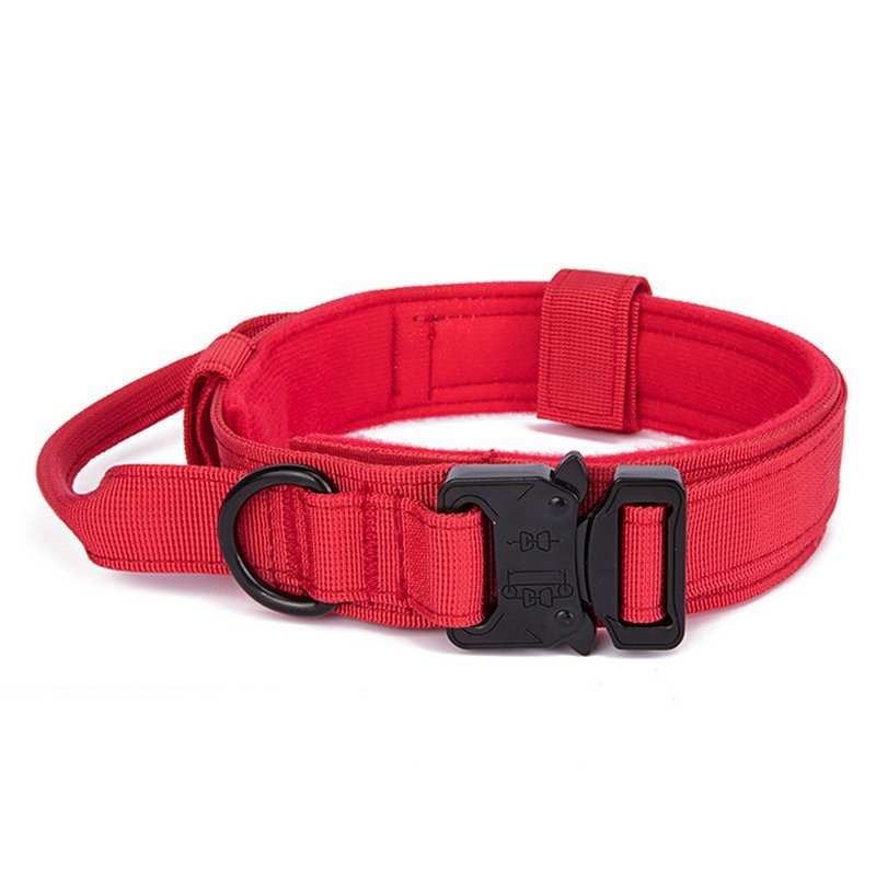 Wholesale Dog Training Collar Pet Collar for Dogs Adjustable Dog Collars