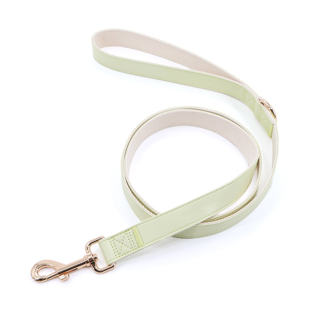 Hot selling luxury printed pet collar leash Logical Leather Dog Leash - Best for Training - Heavy Full Grain Leather Lead