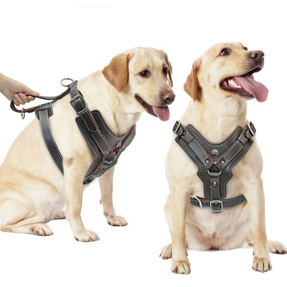 2024 Best Selling Pet Leather Dog Harness Big Dog Training Outdoor Cat Harness & Leash Vest OEM Service Customized Harness