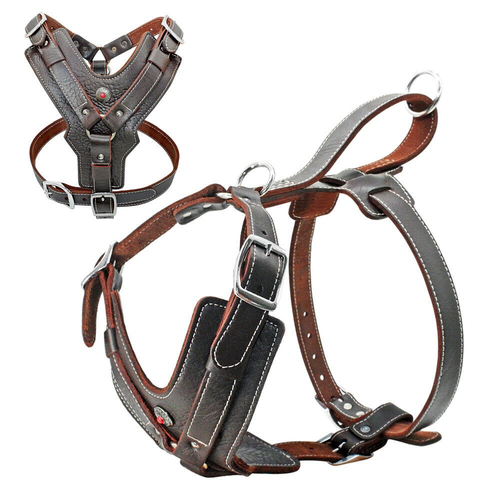 2024 Best Selling Pet Leather Dog Harness Big Dog Training Outdoor Cat Harness & Leash Vest OEM Service Customized Harness