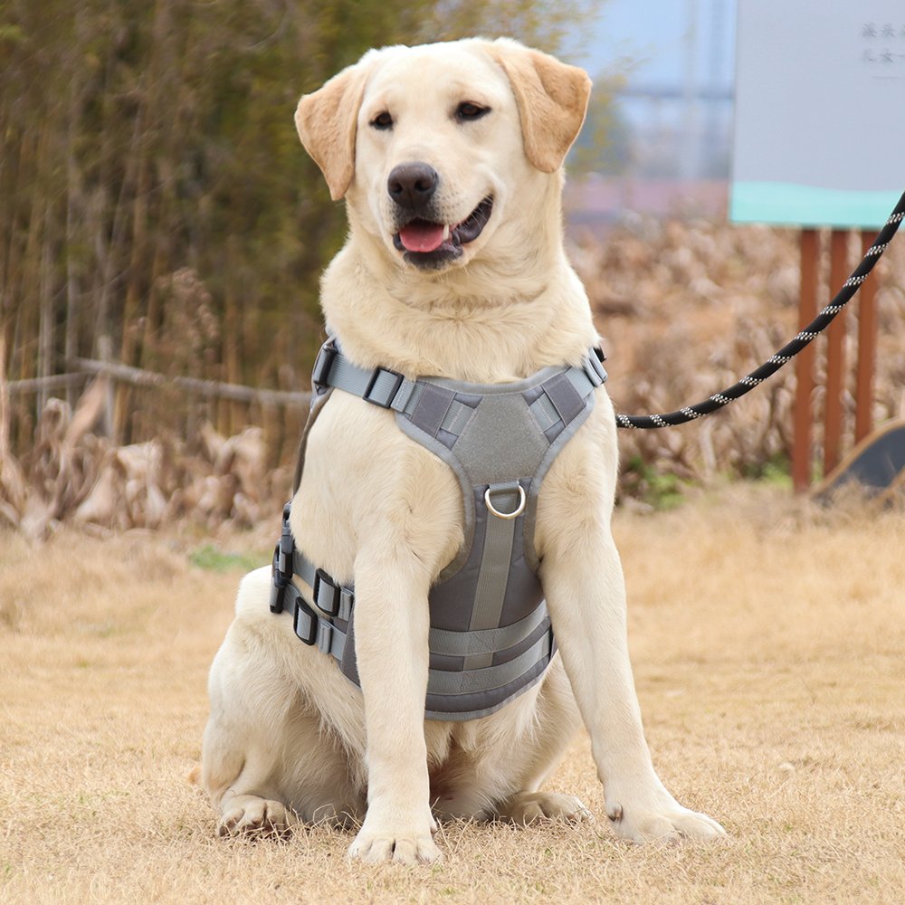 Factory Direct Sale Tactical Dog Harness