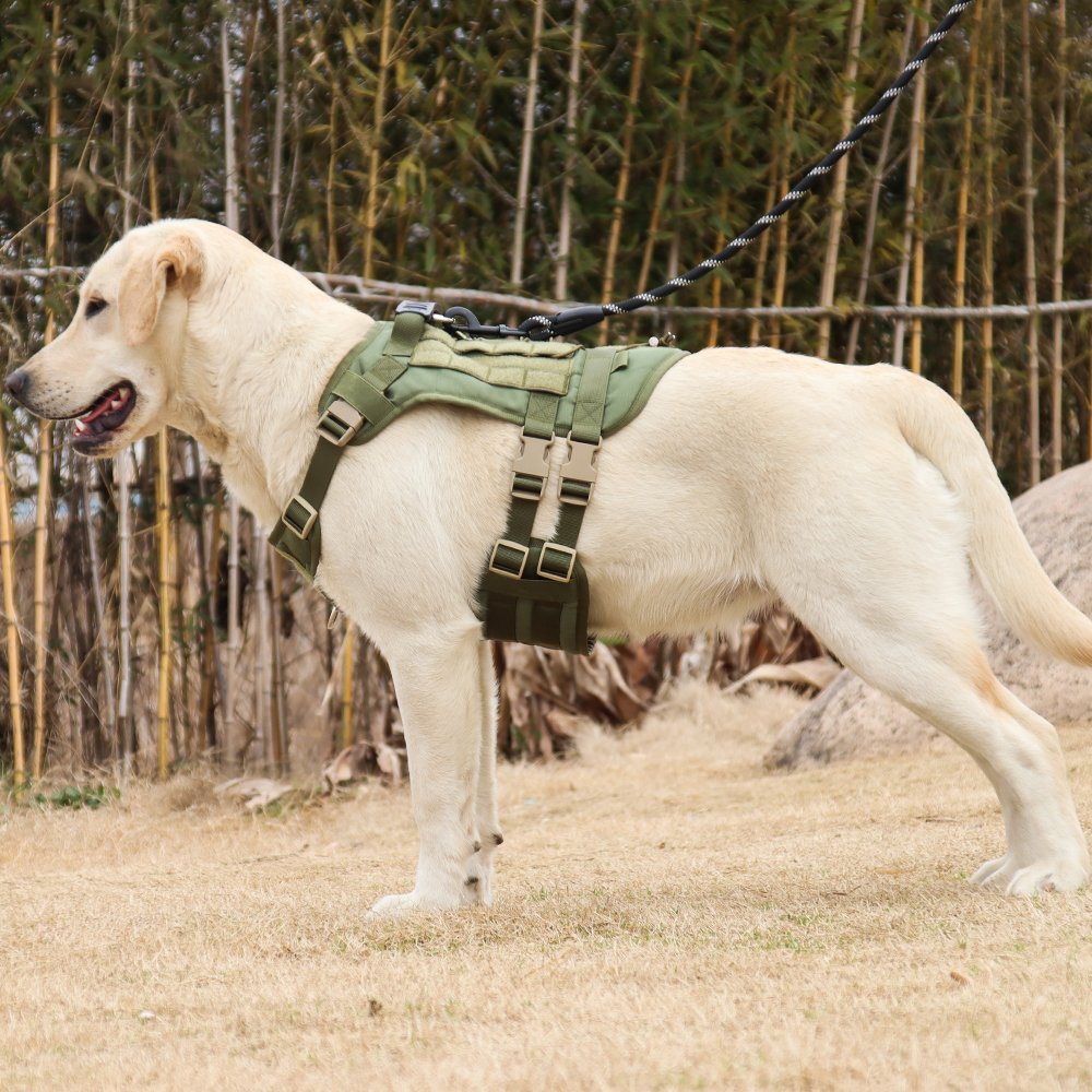 Factory Direct Sale Tactical Dog Harness