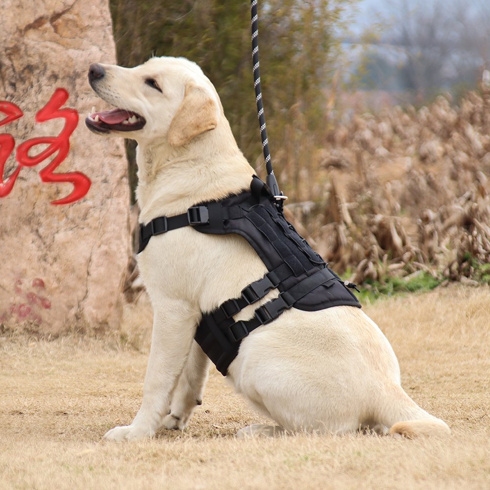 Factory Direct Sale Tactical Dog Harness