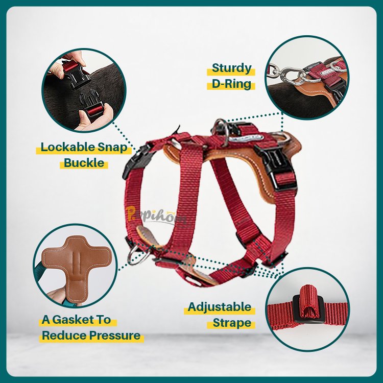 Explosion Proof Punch Custom Puppies Walking Dog Harness Manufacturers Pet Chest Strap Dog Traction Rope Cat Harness Set Luxury