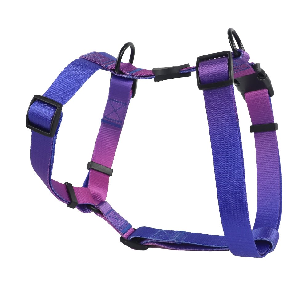 Wholesale Gradient Bravecto Fashionable Polyester High Quality Dog Collar Leash and Harness Set for Puppy