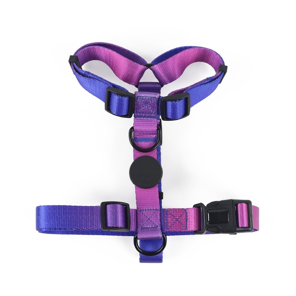 Wholesale Gradient Bravecto Fashionable Polyester High Quality Dog Collar Leash and Harness Set for Puppy