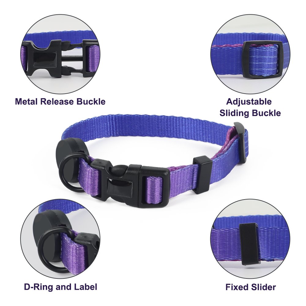 Wholesale Gradient Bravecto Fashionable Polyester High Quality Dog Collar Leash and Harness Set for Puppy