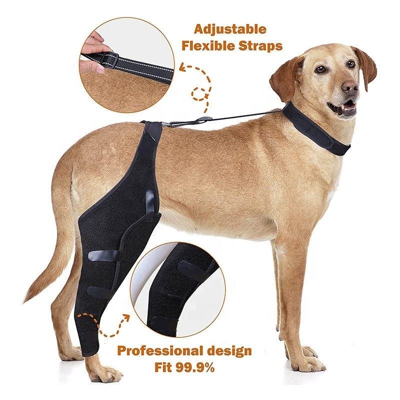 Low MOQ hot selling Wholesale Dog metal supporting Knee Brace/Support Brace Hock Joint Wrap Pet/Adjustable Dog Rear Leg