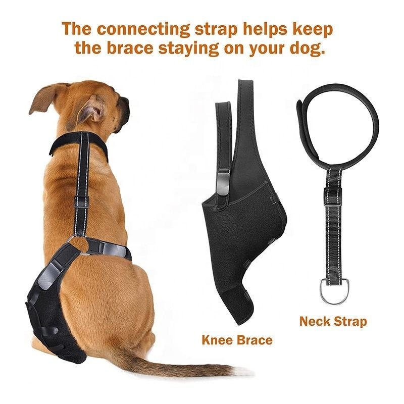 Low MOQ hot selling Wholesale Dog metal supporting Knee Brace/Support Brace Hock Joint Wrap Pet/Adjustable Dog Rear Leg