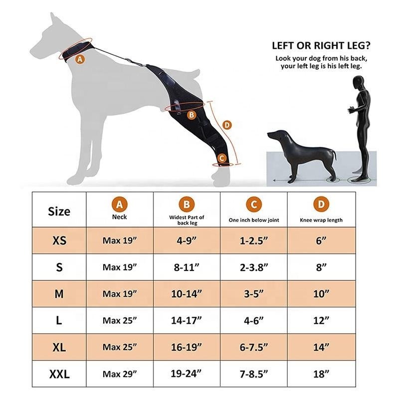 Low MOQ hot selling Wholesale Dog metal supporting Knee Brace/Support Brace Hock Joint Wrap Pet/Adjustable Dog Rear Leg