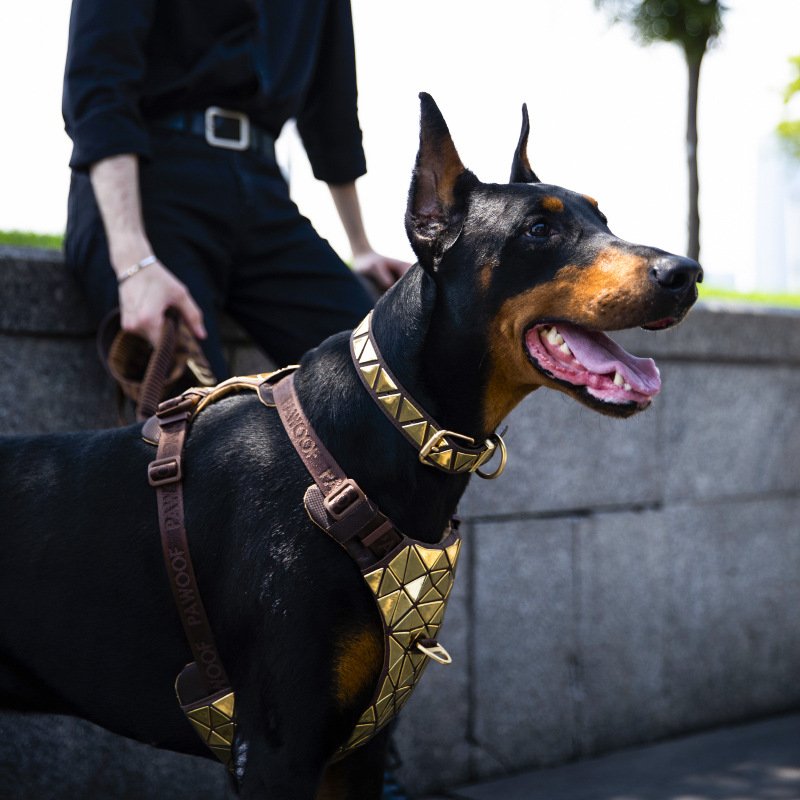 Colorful pet collar vest-style chest harness suit explosion-proof red medium and small dog walking leash