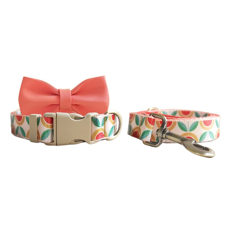 Pet Leash Dog Collar And Leash Set Manufacturer Custom Personalized Designer Luxury Solid 2023new Product Dog Collar Velvet