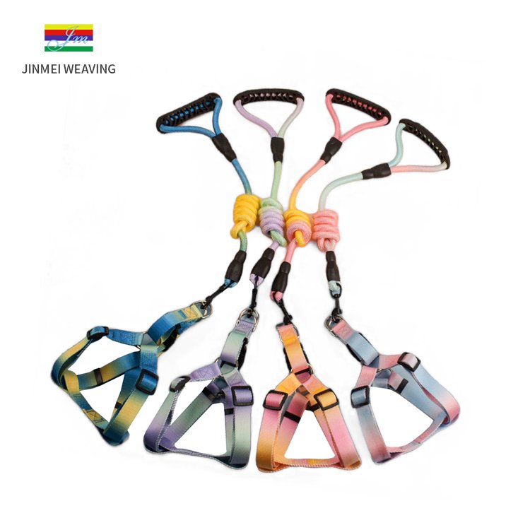 Strong, Sturdy and Comfortable Pet Leash High-Quality Dog Collar and Leash for Safe Walks
