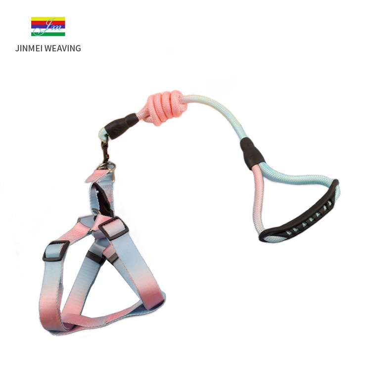 Strong, Sturdy and Comfortable Pet Leash High-Quality Dog Collar and Leash for Safe Walks