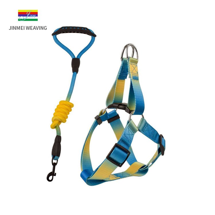Strong, Sturdy and Comfortable Pet Leash High-Quality Dog Collar and Leash for Safe Walks