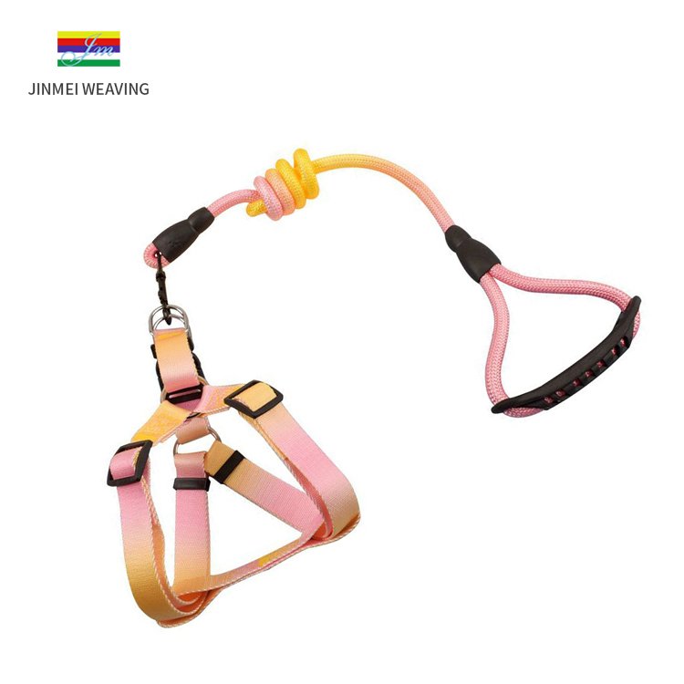 Strong, Sturdy and Comfortable Pet Leash High-Quality Dog Collar and Leash for Safe Walks