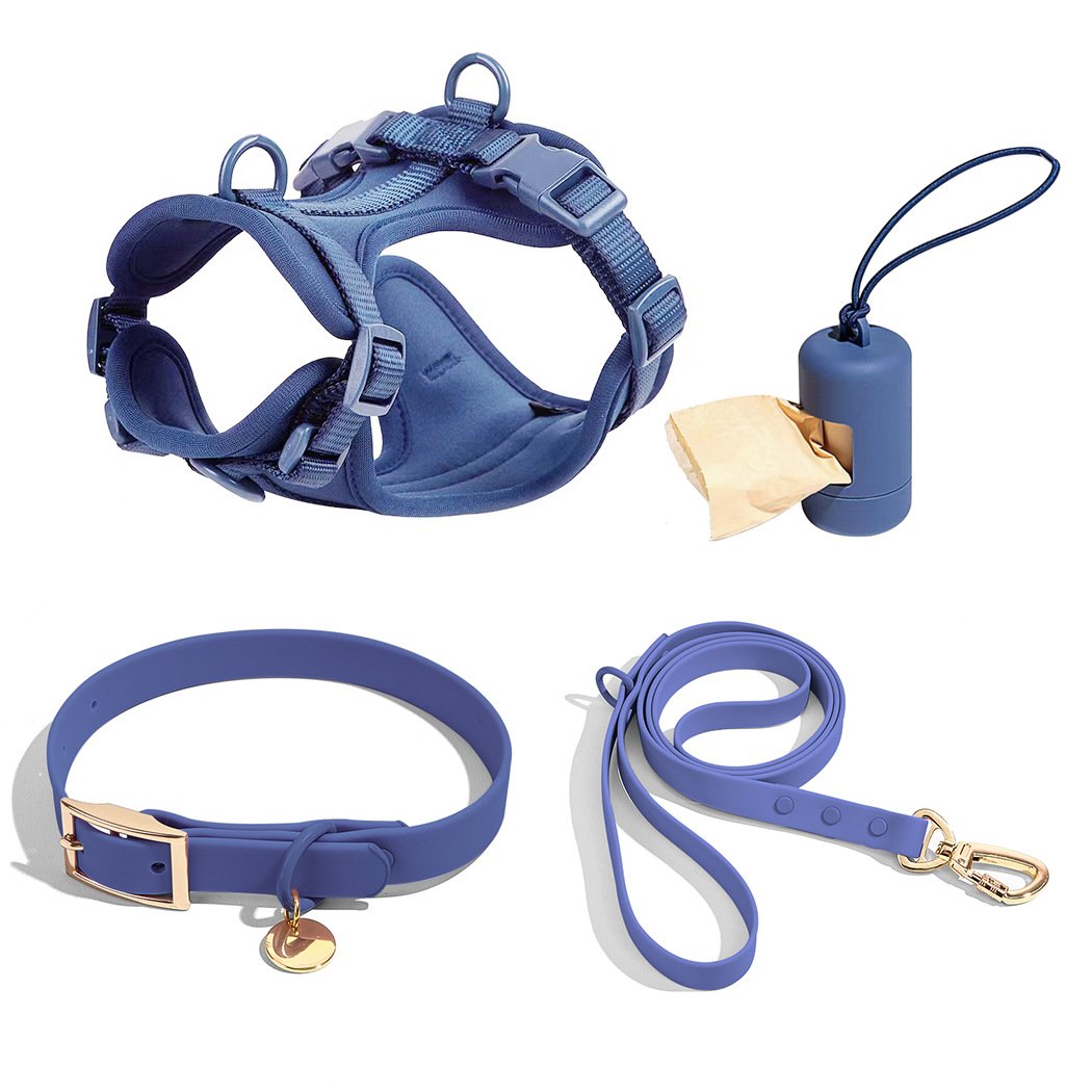 2024 Luxury Personalized Custom Logo Designers No Pull PVC Neoprene Cat Pet Lead Dog Harness Leash Collar Set For Dog